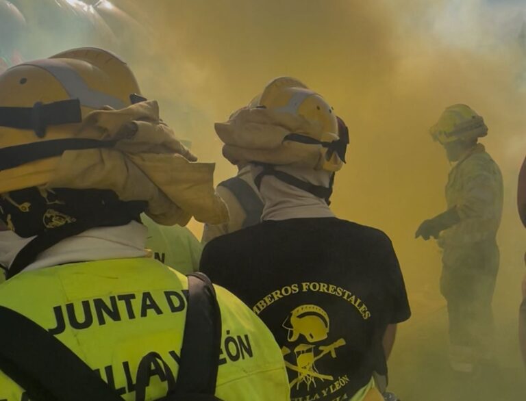 Bomberos forestales, la asignatura pendiente