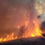 Los incendios forestales de 2025 llevan a Mañueco y Quiñones a la Fiscalía