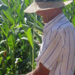 Extremadura: blanco y en botella