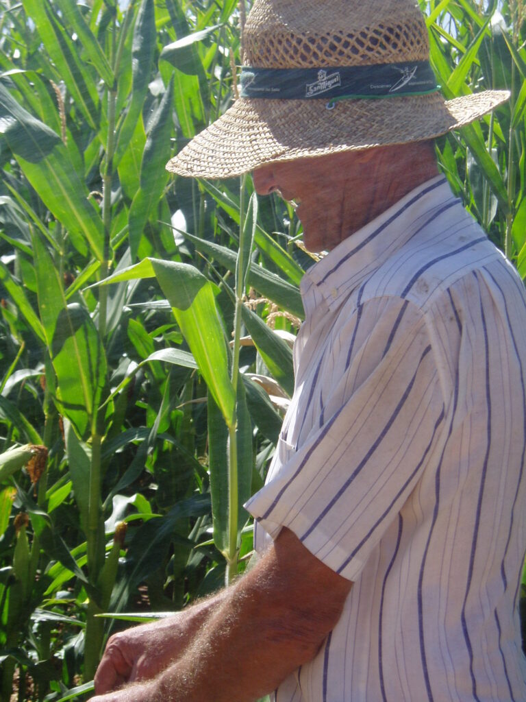 Extremadura: blanco y en botella