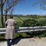 Cuando Castilla y León se hermanaron en Zamora: Peleas de Arriba y Peleas de Abajo