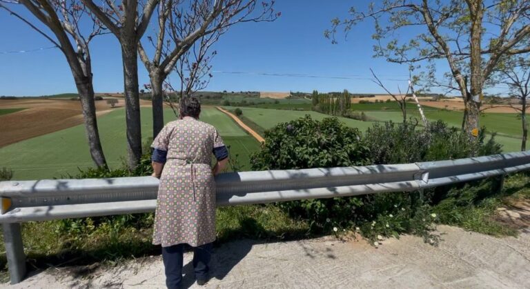 Cuando Castilla y León se hermanaron en Zamora: Peleas de Arriba y Peleas de Abajo