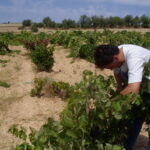 Castilla y León cerró 2025 con un 5% menos de parados, un punto por debajo de la media nacional