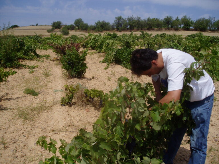 Castilla y León cerró 2025 con un 5% menos de parados, un punto por debajo de la media nacional