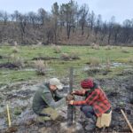 El pueblo repuebla: SOS WILDFIRE recupera, con la ayuda de voluntarios, el territorio quemado por los incendios de León