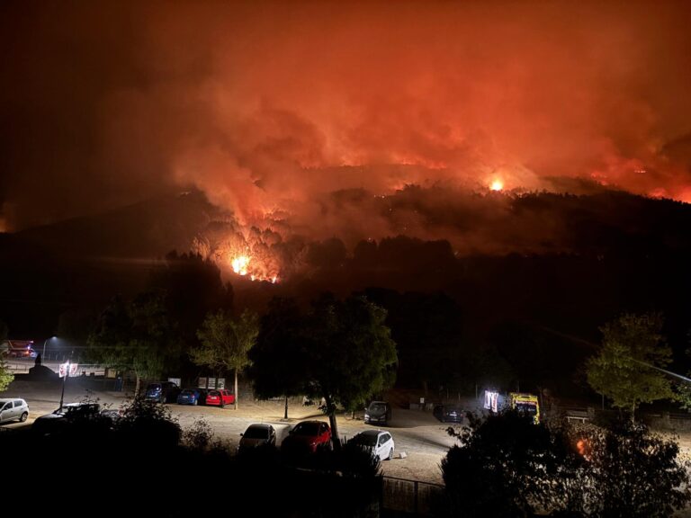 Querella contra los consejeros de Medio Ambiente y Presidencia por la gestión de los incendios