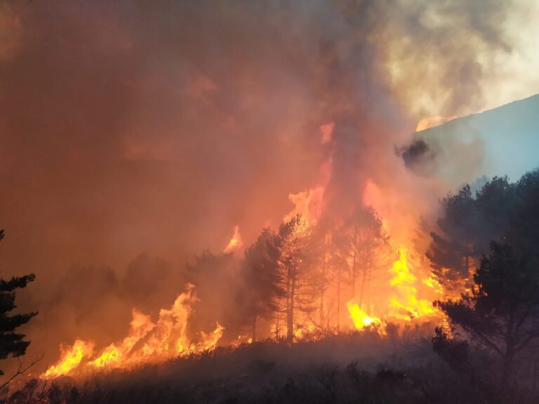 «Ya vamos tarde, otra vez»: falta gente para los incendios que vienen