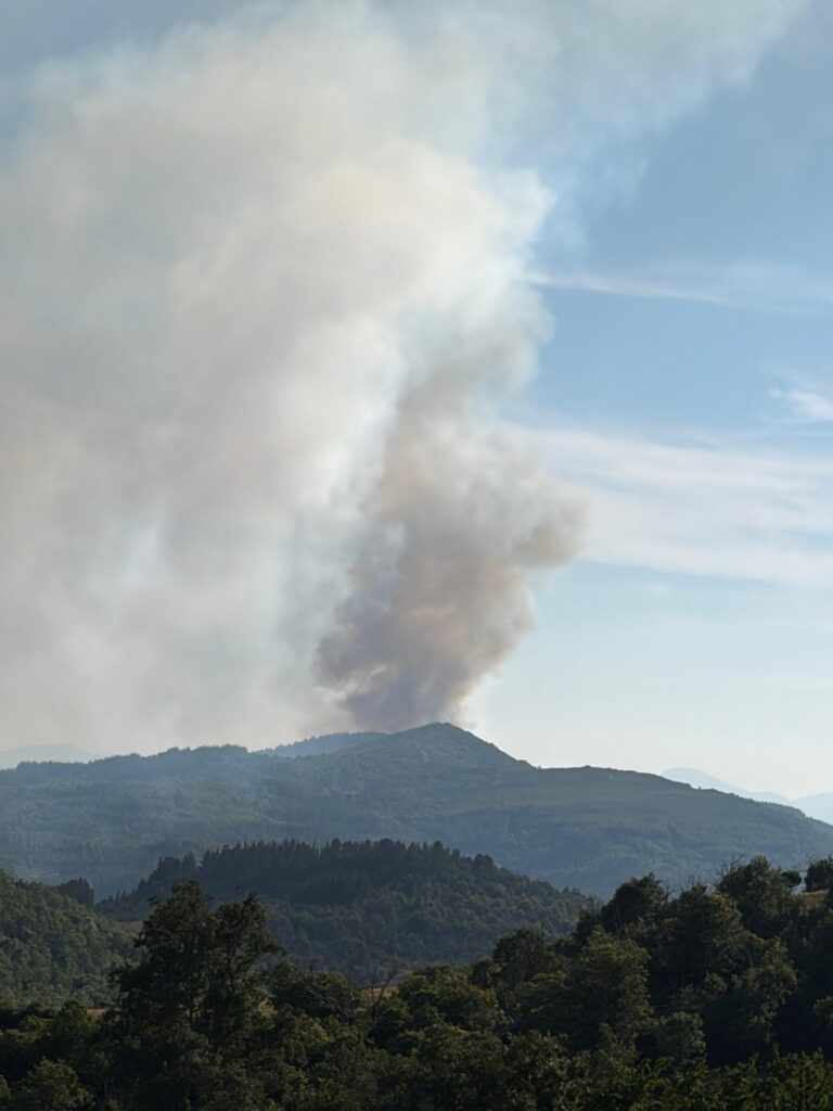 Primer incendio forestal de relevancia del verano, dos horas después de declararse una alerta