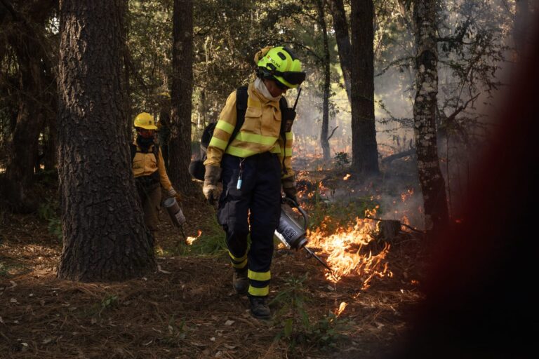 Vanessa Molina, bombera forestal: «La gestión de la emergencia nacional ha sido un ejemplo a seguir»